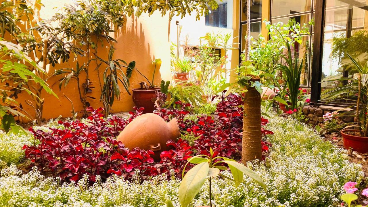 Arequipa Inn Bagian luar foto